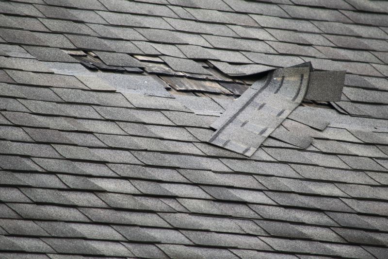 Shingle Roof Repair